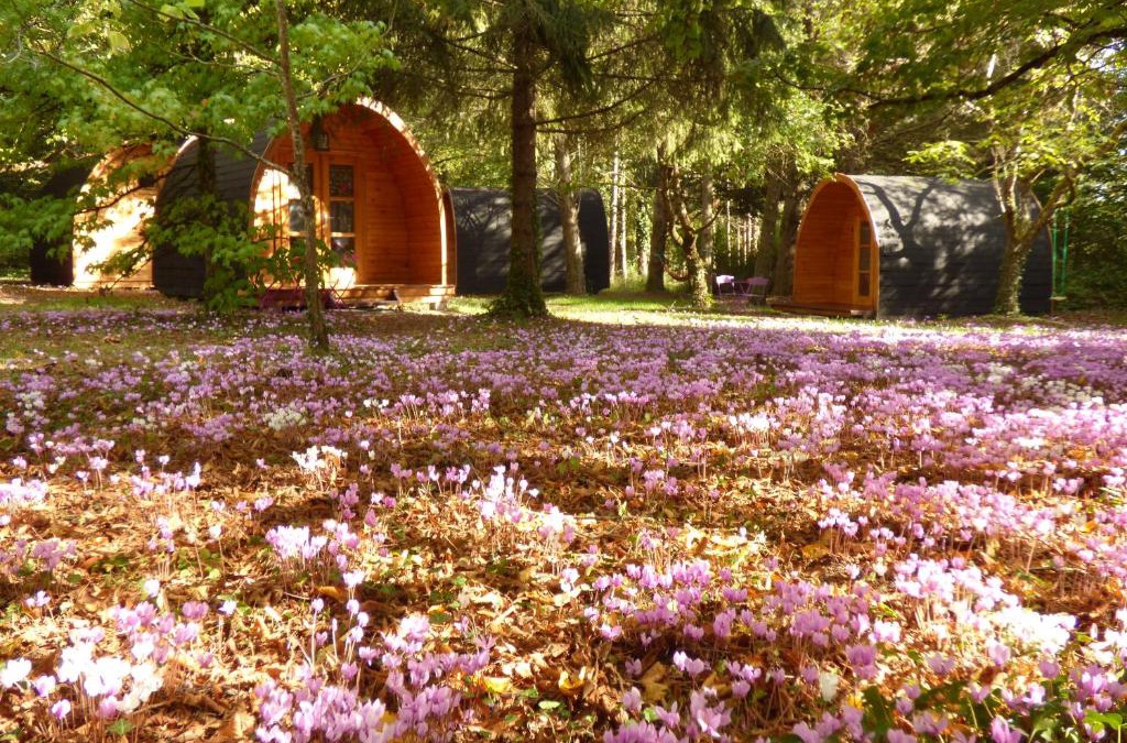 Chouzy-sur-Cisse Other | La Rossignolerie - POD Cabanes des châteaux