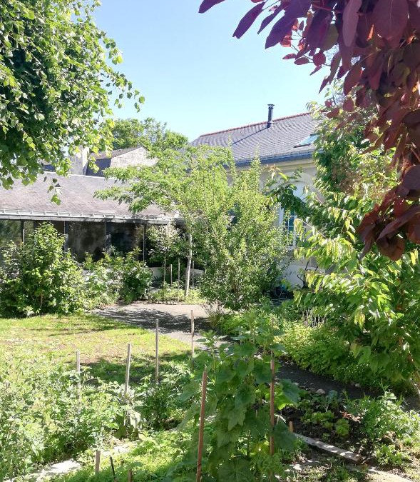 Saint-Hilaire-Saint-Florent Bed & Breakfast | La Ruelle : chambres d'hôtes