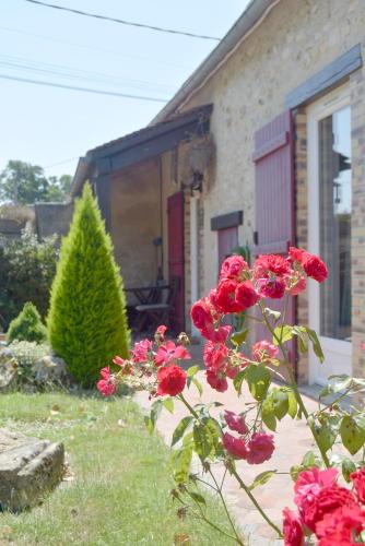 Denonville House | La Serenidad