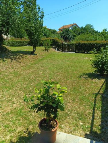 Stella Bed & Breakfast | LA TANA DELLA VOLPETTA - Bed & Breakfast