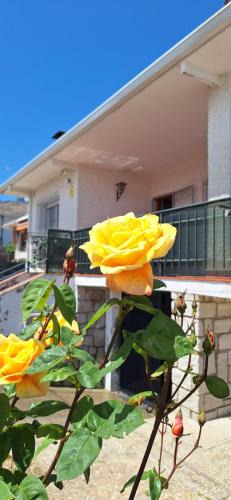 El Tiemblo House | La Tenería Chalet