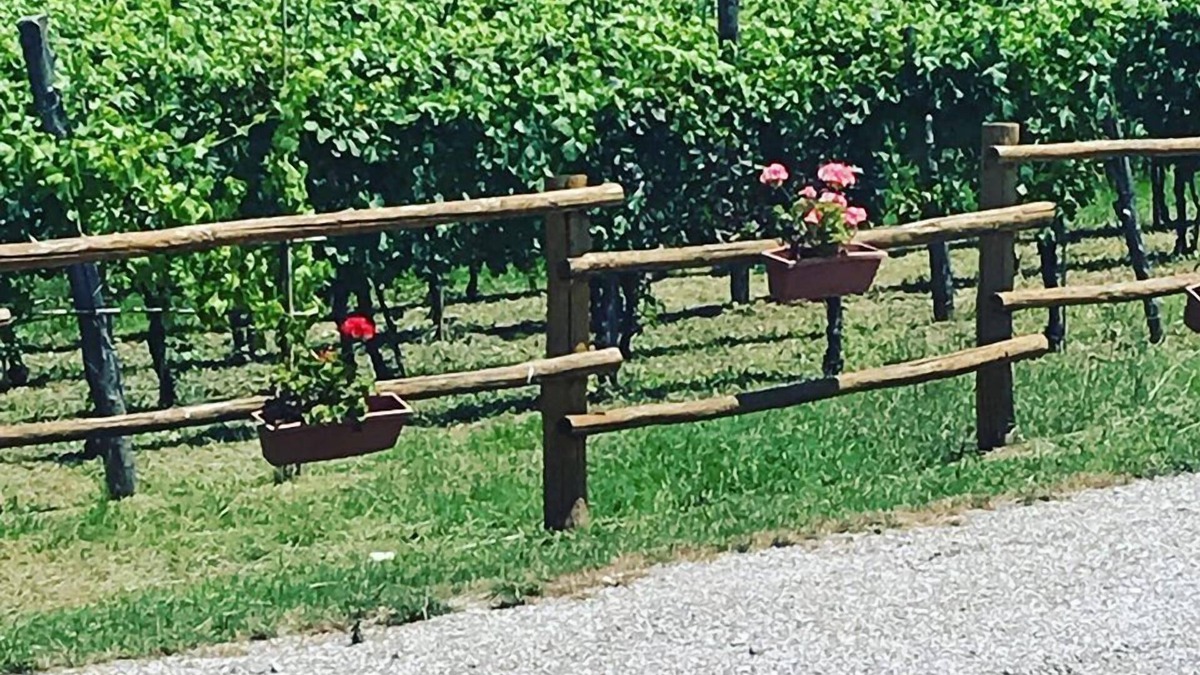 Roccagloriosa Bed & Breakfast | La Timpa del Cucco