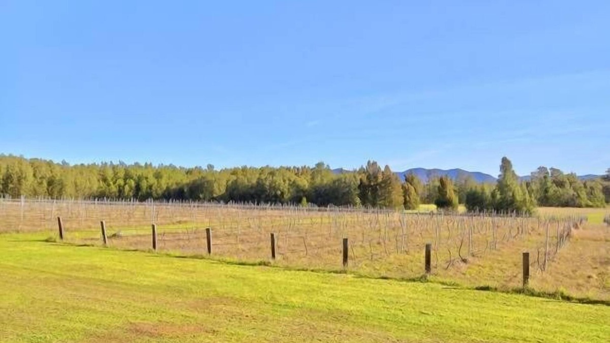Pokolbin House | La Vigna Function and Wedding Accommodation the whole vineyard sleeps up to 40