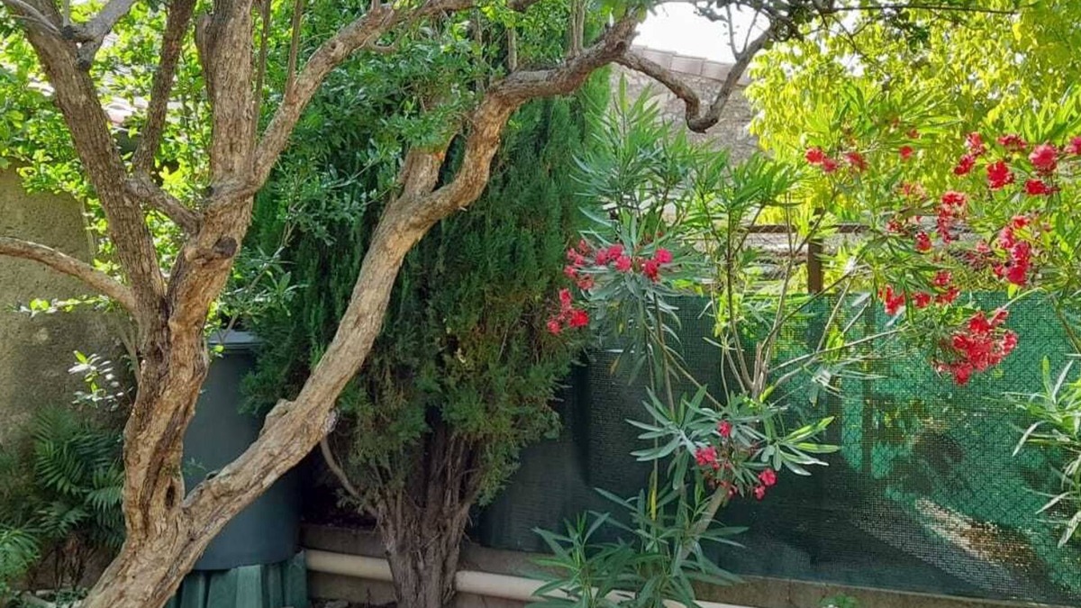 Puimisson House | La Vigneronne de Mamie