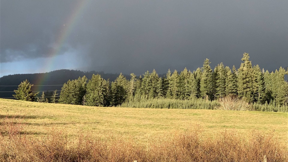 North Cowichan Other | LACEY MEADOWS Acreage