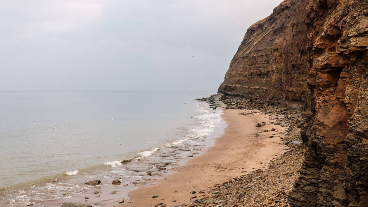 Saltburn-by-the-Sea Cottage | Lady Bird Retreat