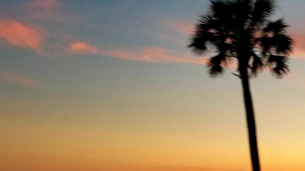 Franklin County Condo | Lagniappe "a little something extra" on the Gulf