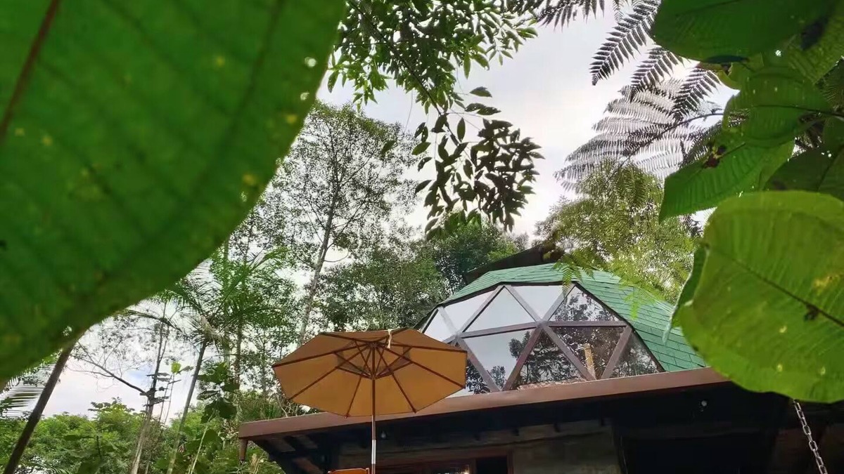 Picinguaba House | Laje Waterfall Dome, with relaxing wet sauna