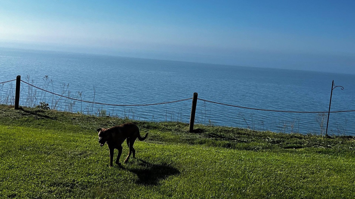 Ashtabula Cottage | Lake front updated cabin-close to everything!