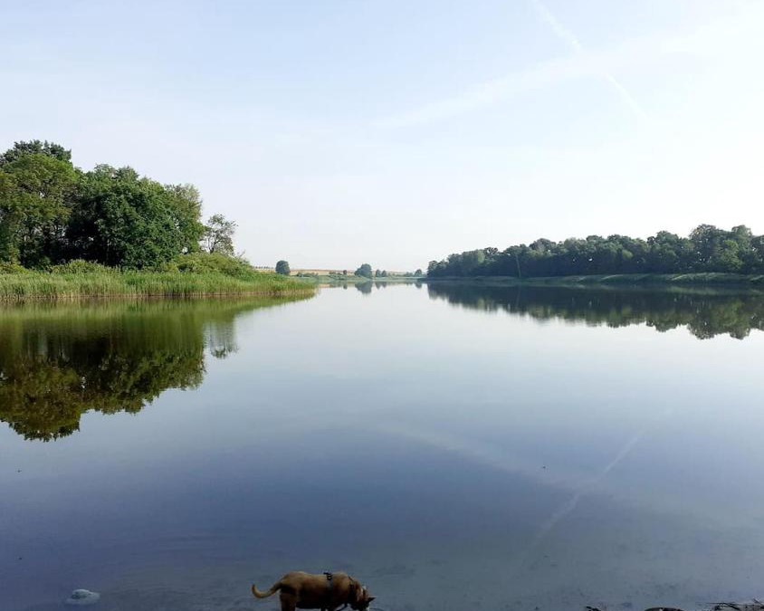 Lebehn Apartment | Lake Hause Lebehn