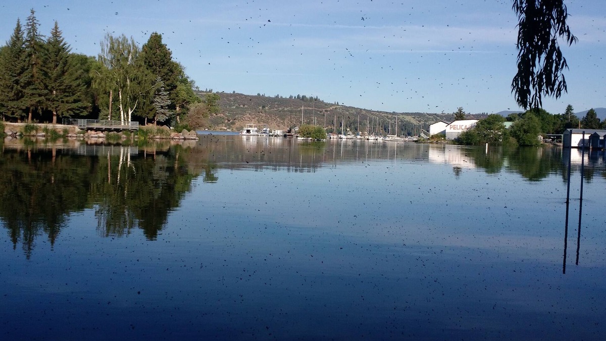 Downtown Klamath Falls House | Lake House retreat kayaking,boating, bird watching