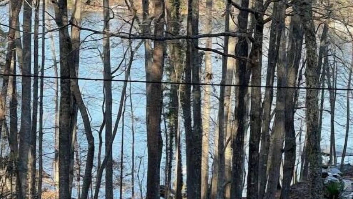 Gainesville House | Lake Lanier House 1