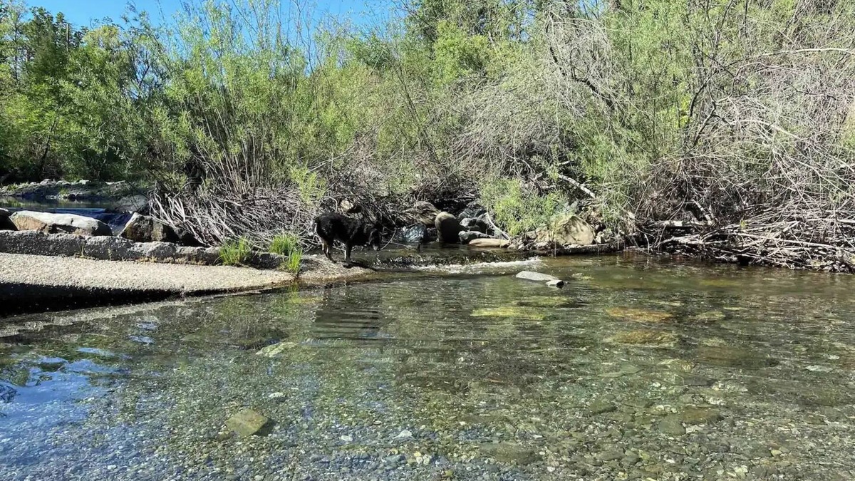 Potter Valley Cabin | Lake Pillsbury/Hull Mt. Cabin 1Br/1Ba Great View!