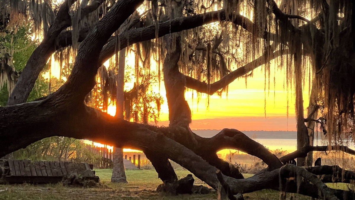 Fedhaven Cabin | Lake Rosalie Retreat