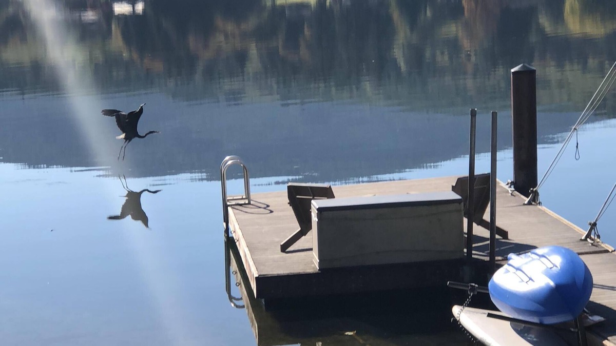 Bellingham House | Lake Samish Getaway close to Galbraith Mountain, Chuckanut & Historic Fairhaven