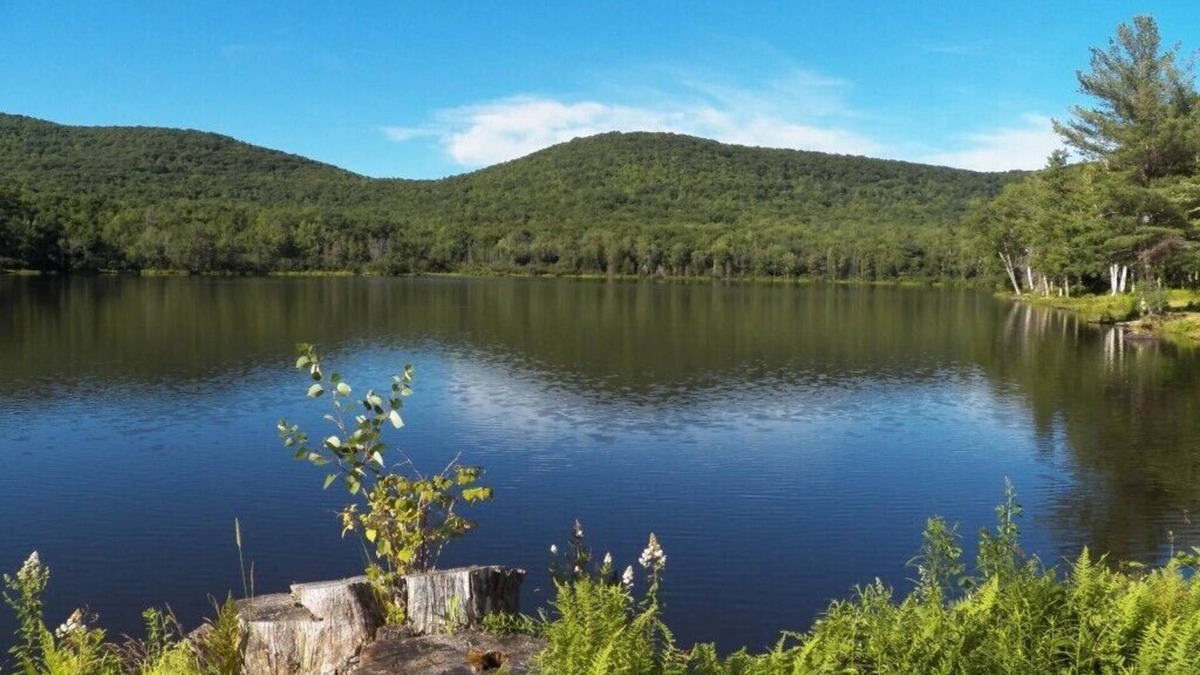 Windham Cabin | Lake view Cabin on Lake Heloise