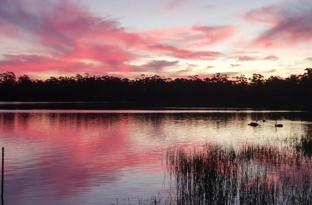 Rawlinna Apartment | Lake Yalleena Nature Retreat