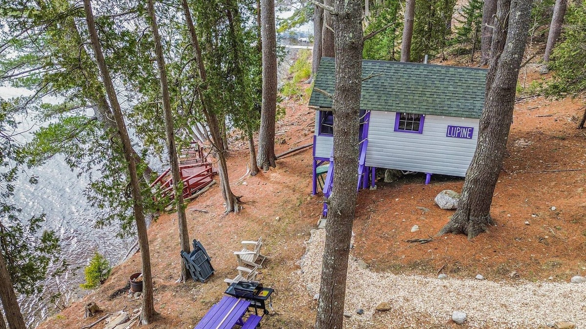 Orland Cabin | Lakefront Lupine Tiny Cabin @ Getogether Stays