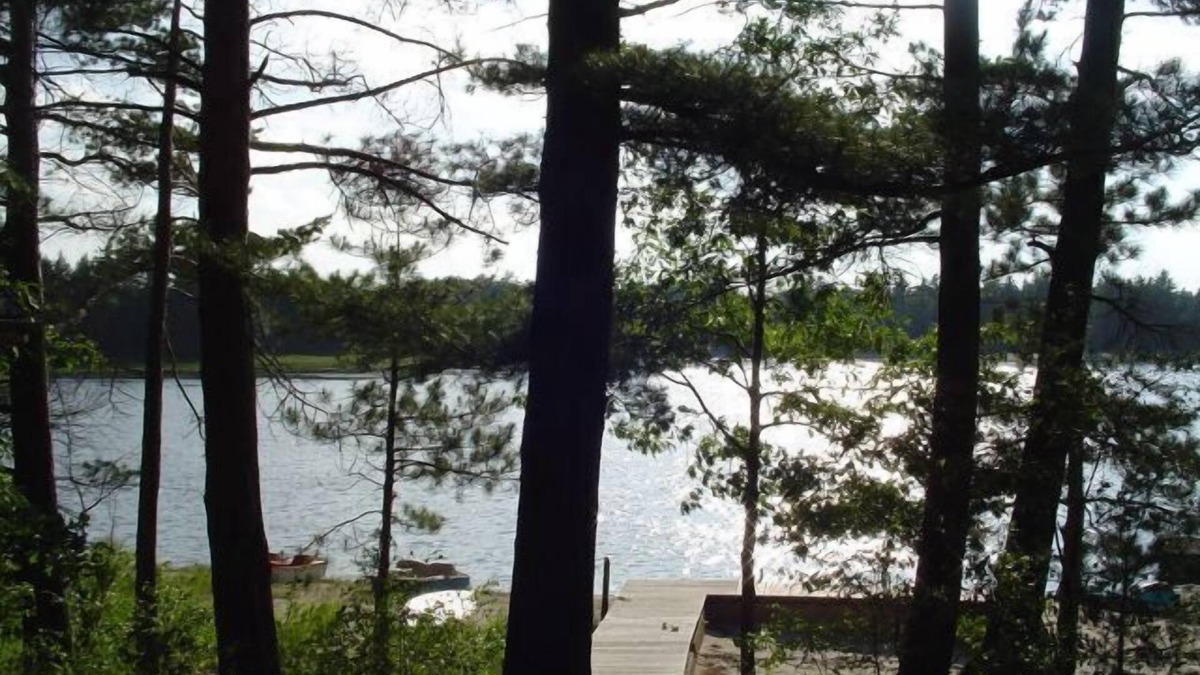 Gaylord Cabin | Lakeside Log Home, fireplace, snowmobile trails, parking, skiing, dog-friendlyn