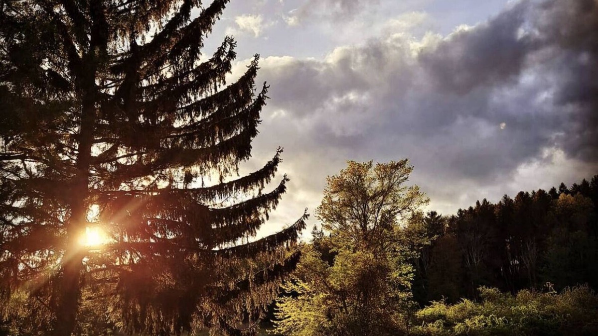 Henryville Cabin | Lakeside Retreat! SPECIAL PRICING! DON'T MISS OUT!