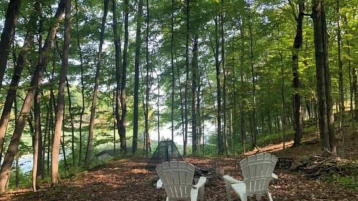 Frontenac Cottage | Lakeside Tiny Cottage in the woods