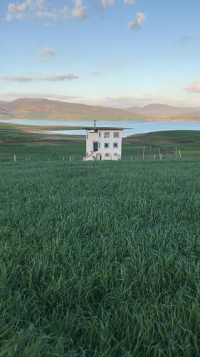 Zghira Apartment | Lala Elyacout