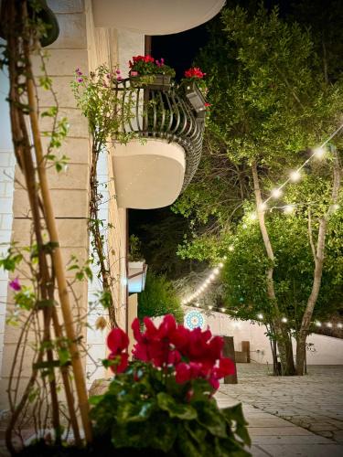 Noicattaro House | Lamapulia