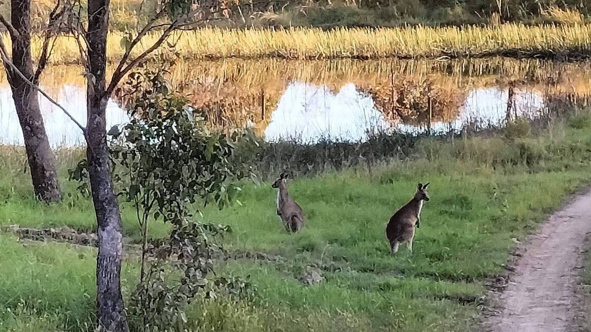 Stanhope House | Lambs Valley Guesthouse