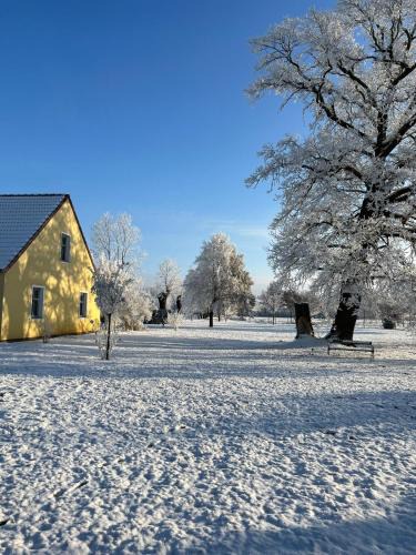 Friesack Apartment | Landgut Ziegler
