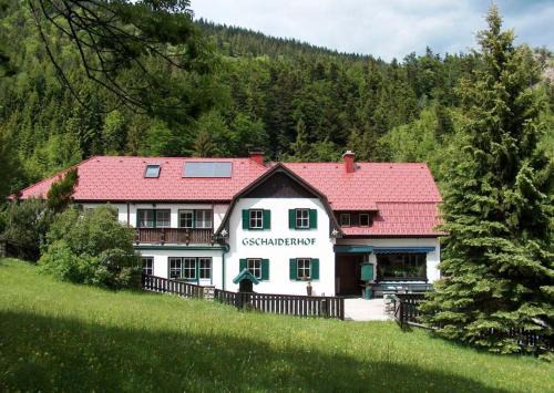 Puchberg Am Schneeberg Apartment | Landhaus Gschaiderhof