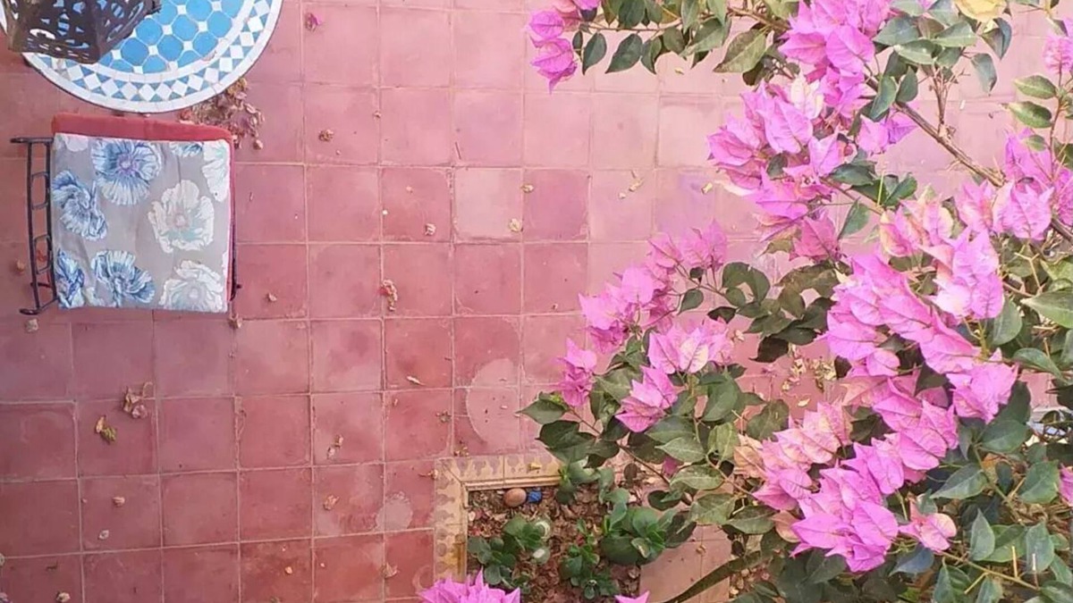 Tnine Aglou Cottage | LANDHAUS-MAROKKO with terraces and beautiful garden in the courtyard