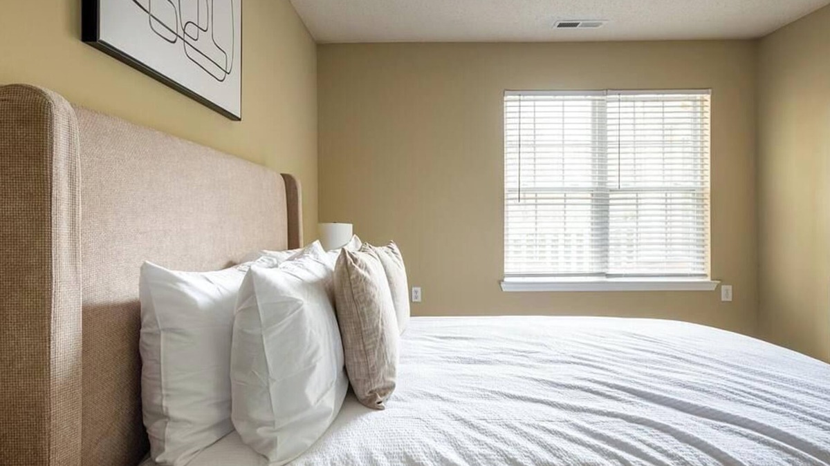 Holly Springs Apartment | Landing at Trellis Pointe - 1 Bedroom in Downtown Holly Springs