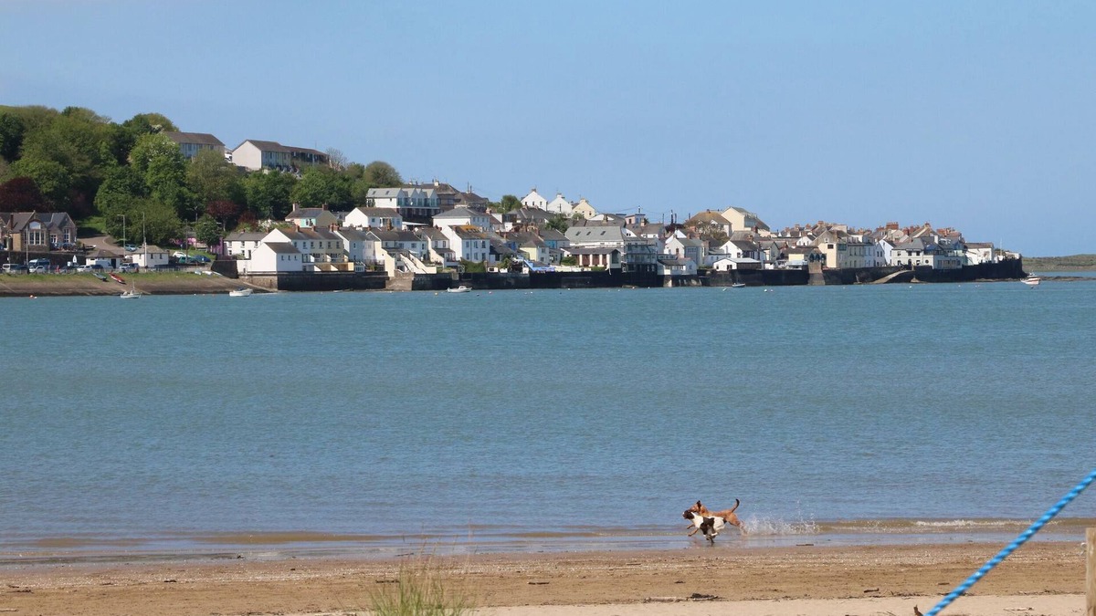 Appledore Cottage | Lands House