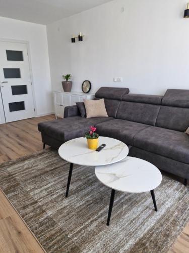 Vinkovci Apartment | Lapovci