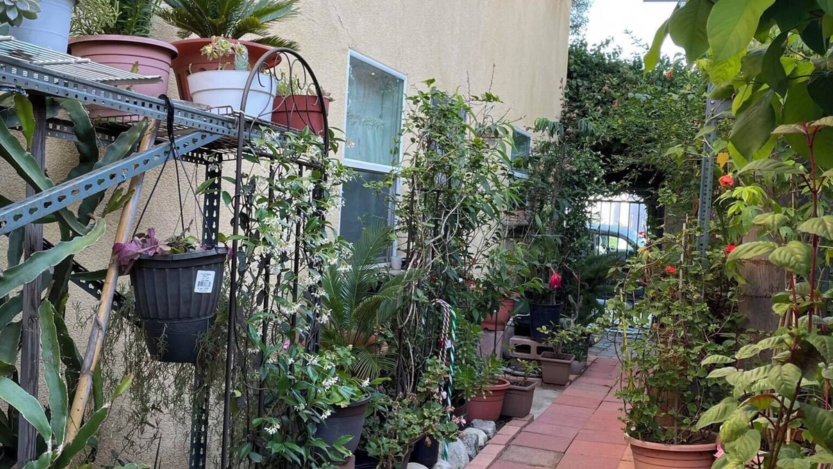 Gardena House | Large 2bd garden home w/free parking near LAX, beaches, stadiums, freeways