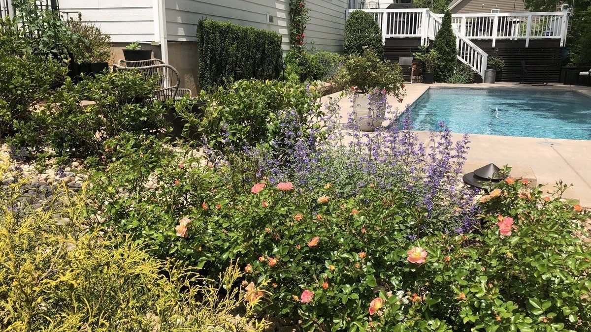 Wesley Chapel House | Large family friendly home with private pool