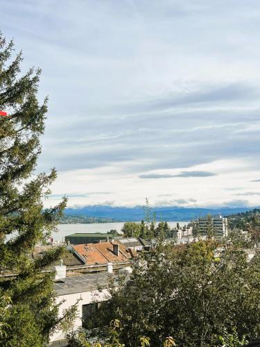 District 2 Apartment | Large Flats, Zurich Lake HWA - Self Checkin