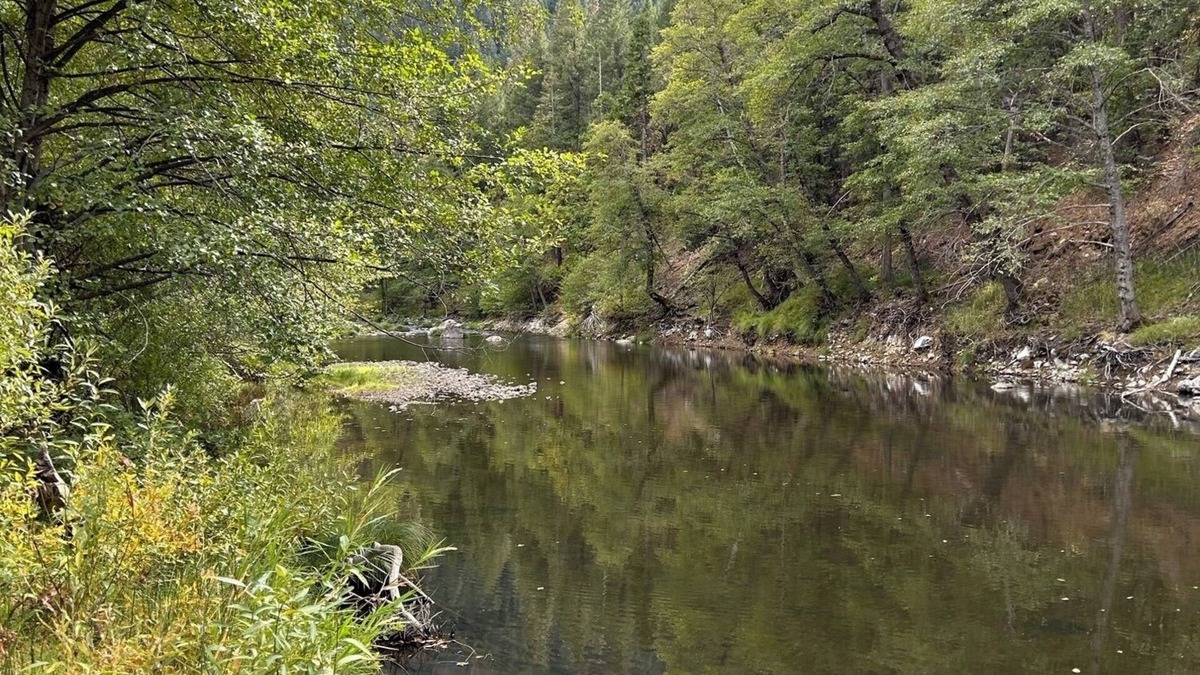 Plumas County Other | large House with Private Indian Creek Access 37 acres to roam freely