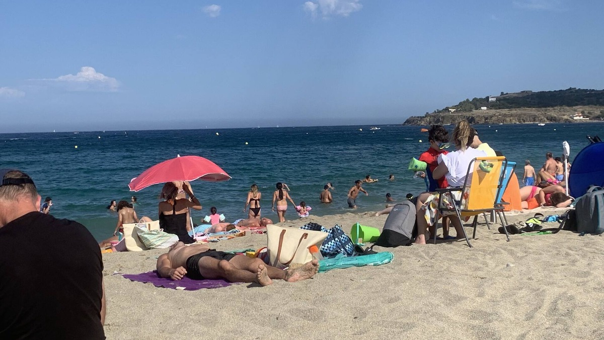 Saint-Andre Apartment | Large one roomed cottage close to Mediterranean with pool