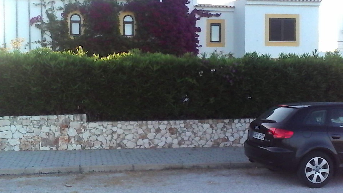 Espartal Ski Chalet | Large Portuguese Villa. Jawdropping views over Amoreira Beach