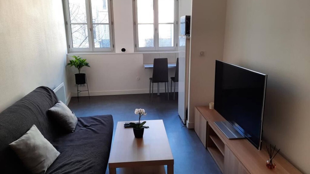 Faubourg North Apartment | Large, quiet T1 - Dijon center