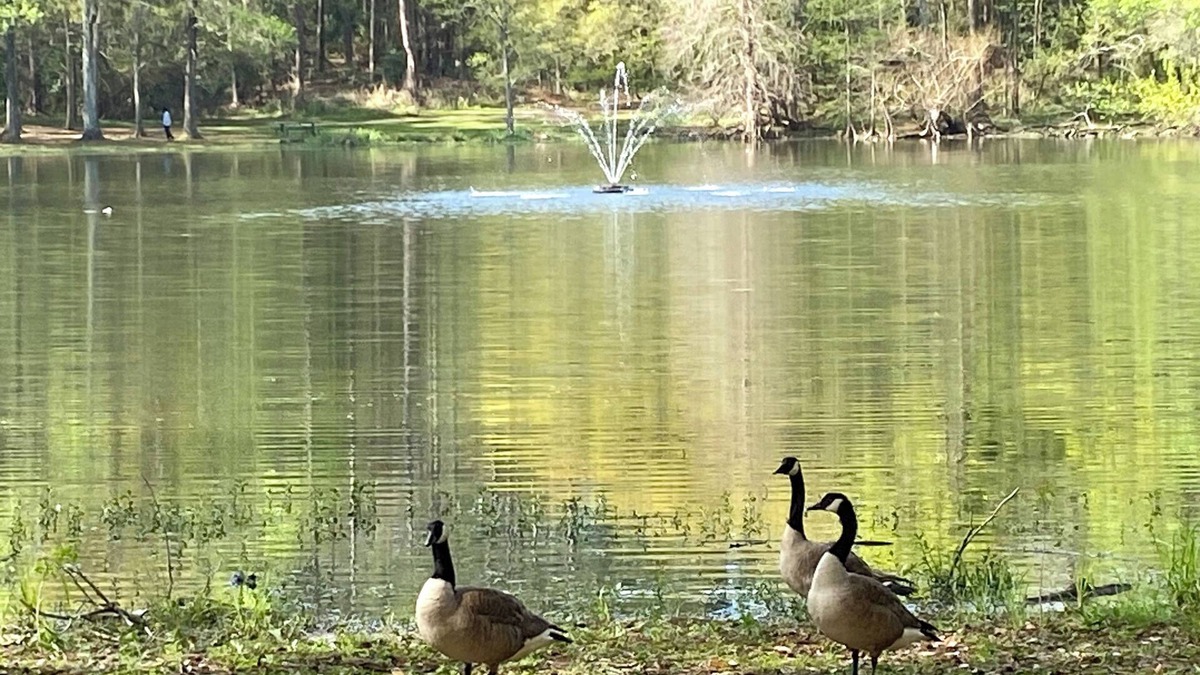 Tallahassee House | Large Retreat in Prime Location. 6 TVs + Sleeps 18