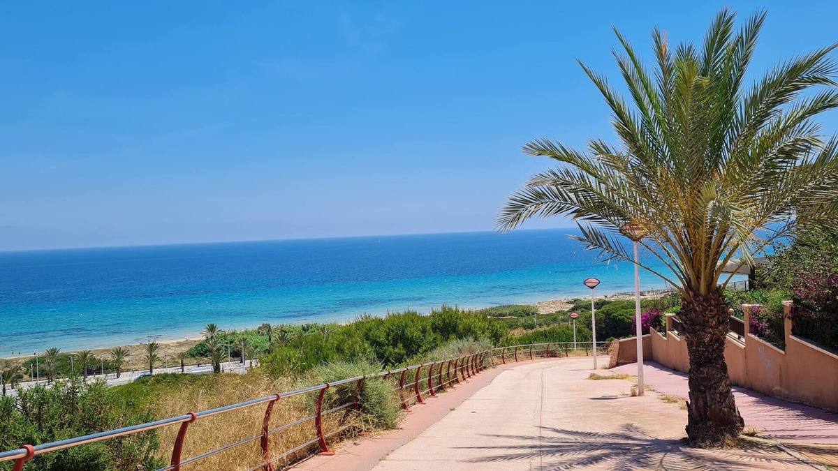 Els Arenals del Sol House | Large roof terrace, barbecue, free WIFI, near the beach and the city of Alicante