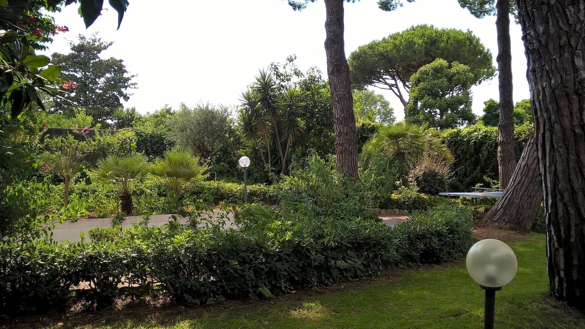 Colonia Elena Villa | Large single-family villa with 1300 sq m tree-lined garden a stone's throw from the sea