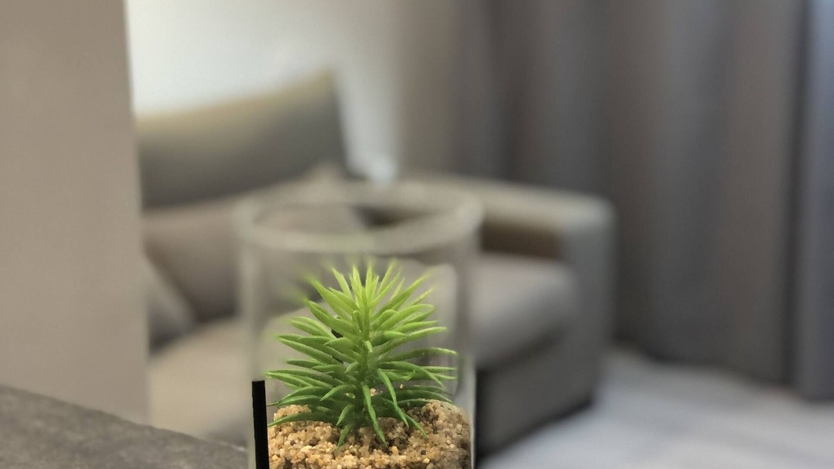 Quartier Saint-Clement - Jardin des Plantes Apartment | Large spacious studio close to all amenities!