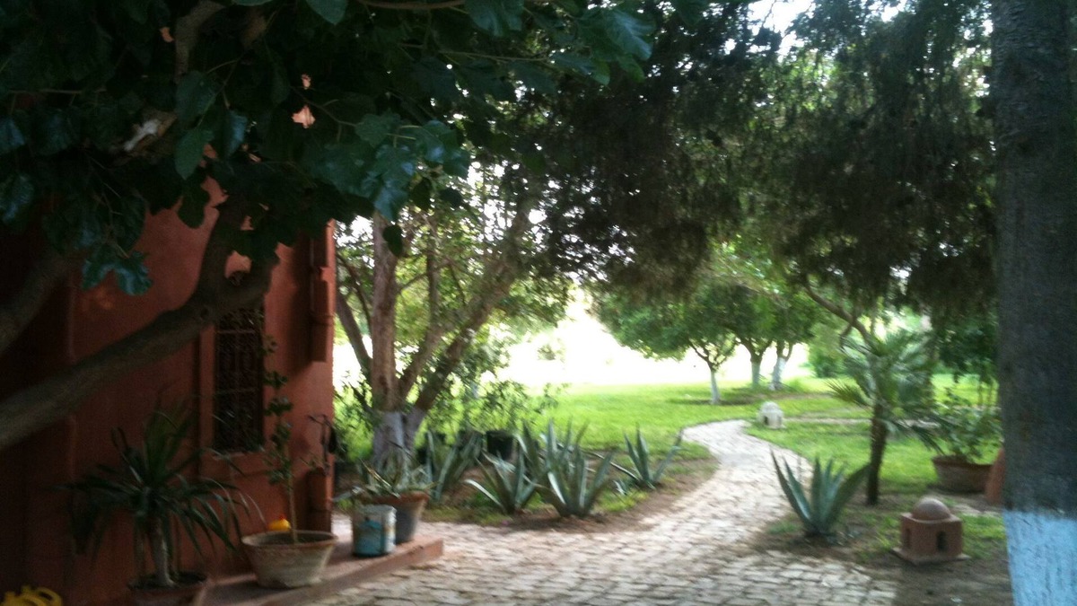 Hammamet Interieure Villa | large villa hidden in the countryside