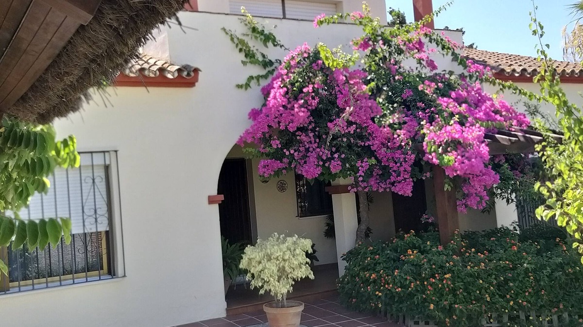 Los Barrios Ski Chalet | Las Camelias Chalet House