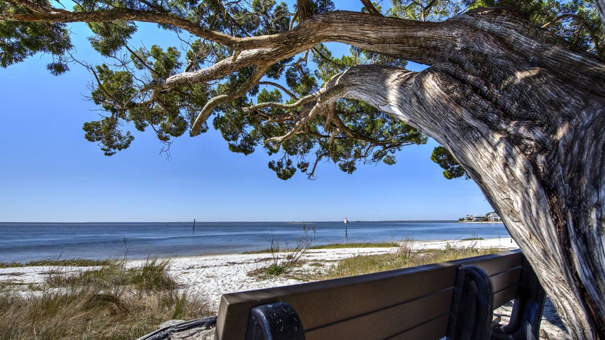 Crawfordville House | Laughing Gull House, Laughing Gull House