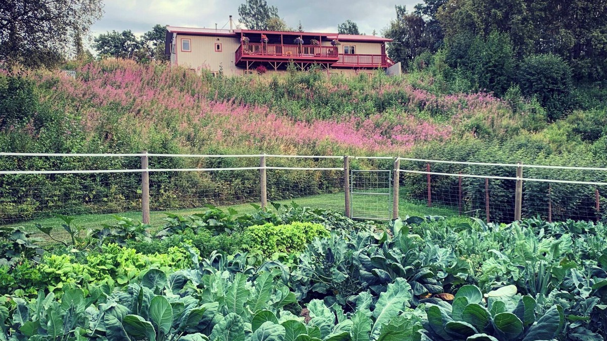 Palmer House | Lazy Mountain Hideaway