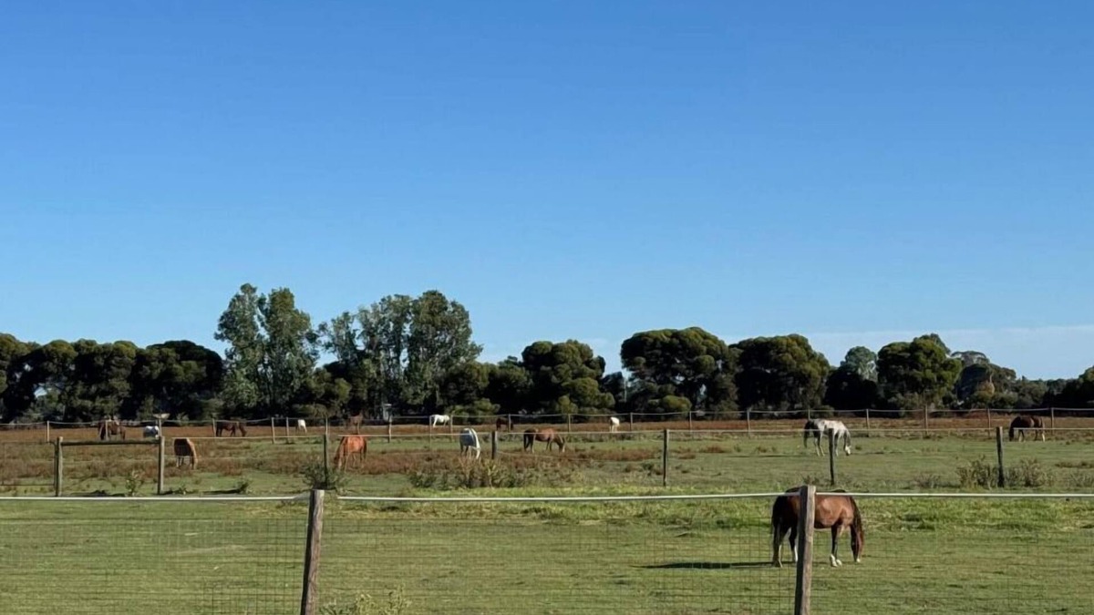 Swan Hill Hotel | Lazy River Motor Inn